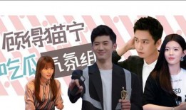 综艺小说多集娱乐圈吃瓜