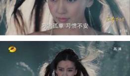 娱乐明星吃瓜专栏小说