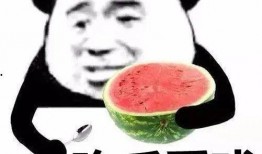 娱乐吃瓜酱相处方式,轻松相处的快乐秘籍