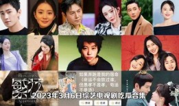 娱乐圈吃瓜合集视频网站,吃瓜合集视频网站深度解析