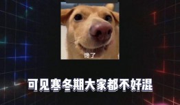 娱乐吃爆瓜,爆瓜盛宴，明星幕后故事大公开