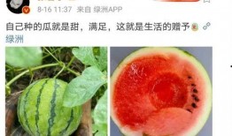 娱乐圈有什么瓜可以吃吗,揭秘明星幕后故事与热点事件
