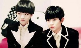 娱乐圈吃瓜王俊凯小说,揭秘明星背后的故事