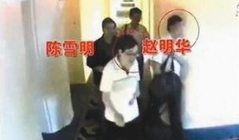 娱乐吃瓜酱法官,揭秘娱乐圈背后的真相与争议