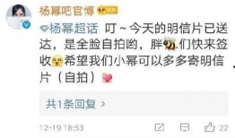 娱乐吃瓜点评怎么写的,轻松解读明星幕后故事