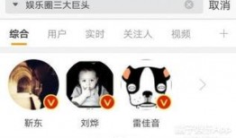 娱乐吃瓜君雷佳音