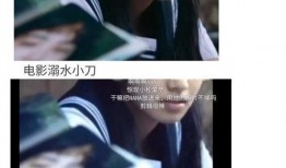 穿书娱乐圈吃瓜嗑糖,吃瓜嗑糖，解锁甜蜜穿书之旅