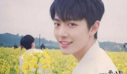 中国娱乐圈吃瓜男星小说,揭秘吃瓜男星的逆袭之路