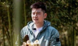 娱乐圈吃瓜钱枫视频合集,盘点明星幕后趣事