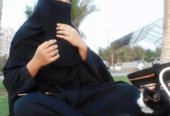 娱乐吃瓜君吃饭,揭秘明星饭局背后的故事