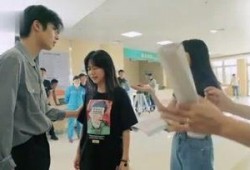 娱乐吃瓜小趴菜,小趴菜吃瓜指南