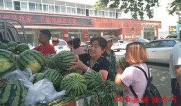 千佛山娱乐团队吃瓜群众,吃瓜群众揭秘幕后故事