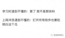 吃瓜娱乐圈知乎全文下载,揭秘知乎全文背后的精彩故事