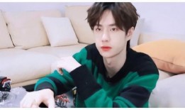 吃瓜娱乐圈王一博,娱乐圈的瓜中明星，魅力与实力并存