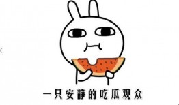 娱乐吃瓜酱面试技巧