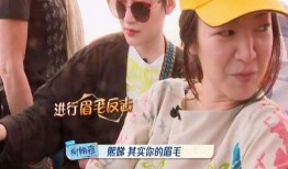 豆瓣娱乐圈吃瓜小组推荐,豆瓣吃瓜小组推荐的热门事件大盘点