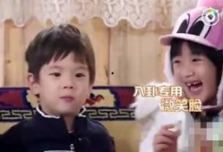 娱乐吃瓜看一姐,揭秘“吃瓜一姐”的崛起之路