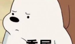 娱乐吃瓜酱管好自己吧,娱乐吃瓜酱的自律之路