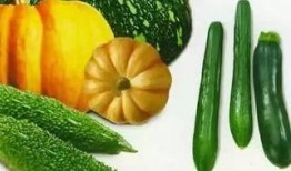 娱乐吃瓜种类,盘点热门事件，揭秘明星幕后故事