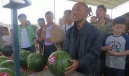 千佛山娱乐团队吃瓜群众,吃瓜群众揭秘幕后故事