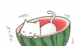 娱乐吃瓜群头像图片,揭秘明星幕后生活的一扇窗