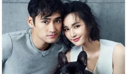 娱乐圈吃瓜小达人是什么,吃瓜小达人的八卦江湖