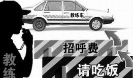 娱乐吃瓜酱驾校,揭秘驾校那些事儿