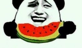 熟悉娱乐吃瓜群众的句子,揭秘明星幕后故事