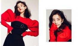 吃瓜少女娱乐,揭秘娱乐圈幕后故事