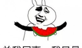 娱乐吃瓜酱背单词是什么,娱乐吃瓜酱教你轻松背单词