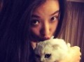 娱乐吃瓜酱虐猫小说,娱乐吃瓜酱的黑暗面揭露