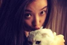 娱乐吃瓜酱虐猫小说,娱乐吃瓜酱的黑暗面揭露